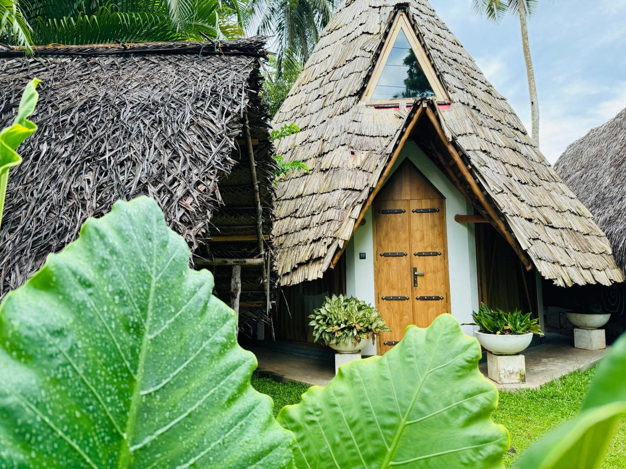 Turtle Wood Cabin Tangalle Luaran gambar