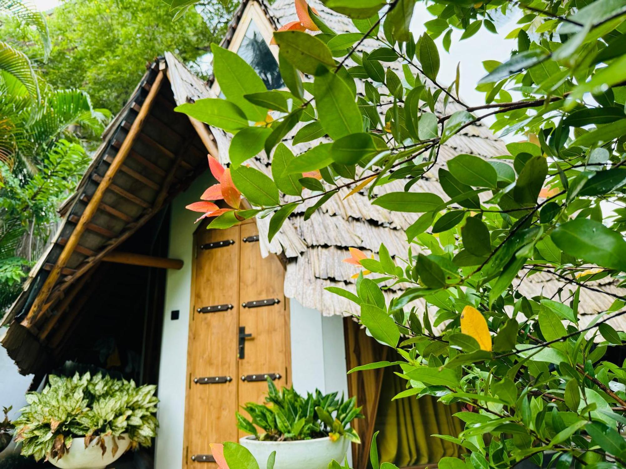 Turtle Wood Cabin Tangalle Luaran gambar