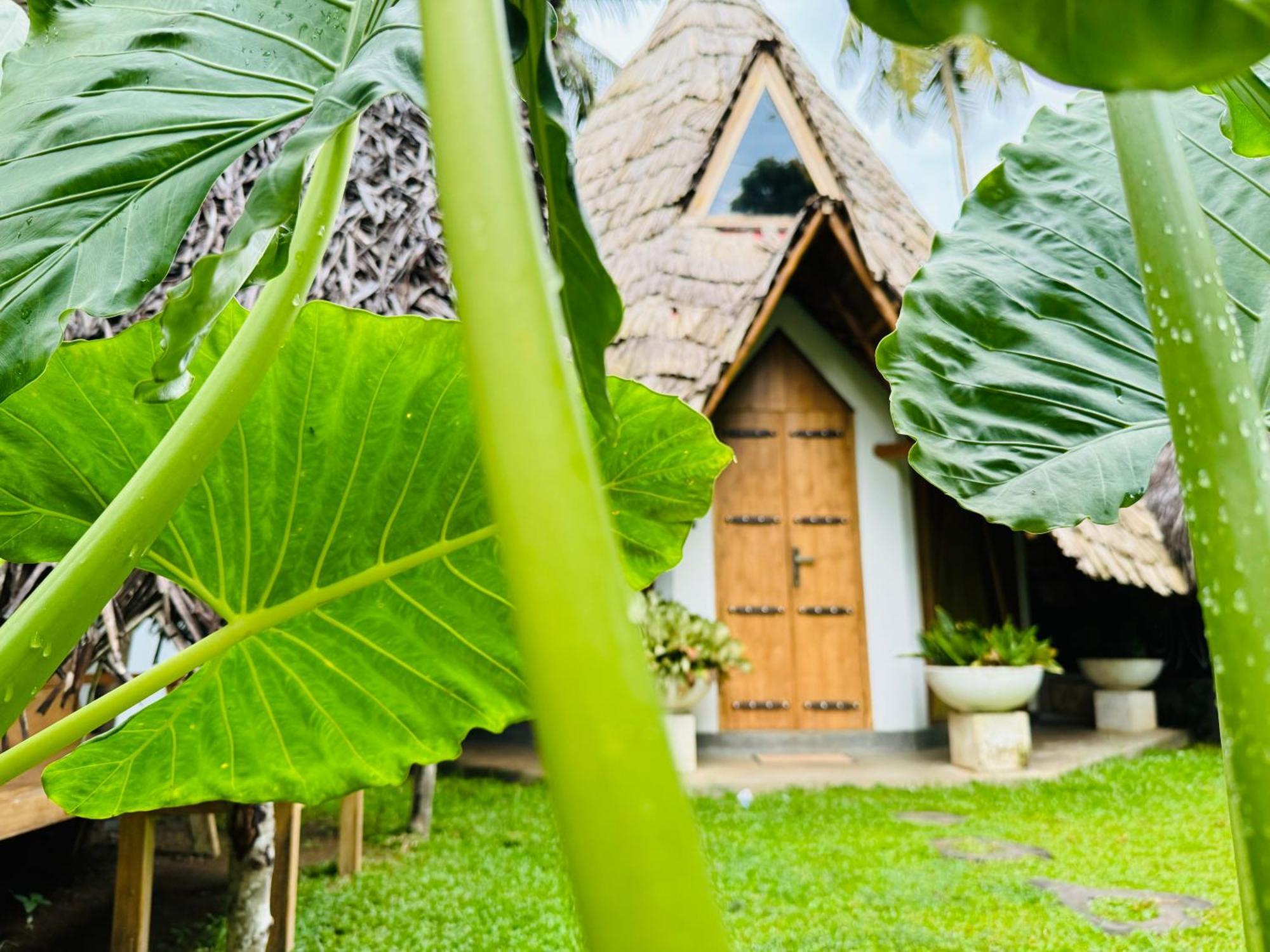 Turtle Wood Cabin Tangalle Luaran gambar