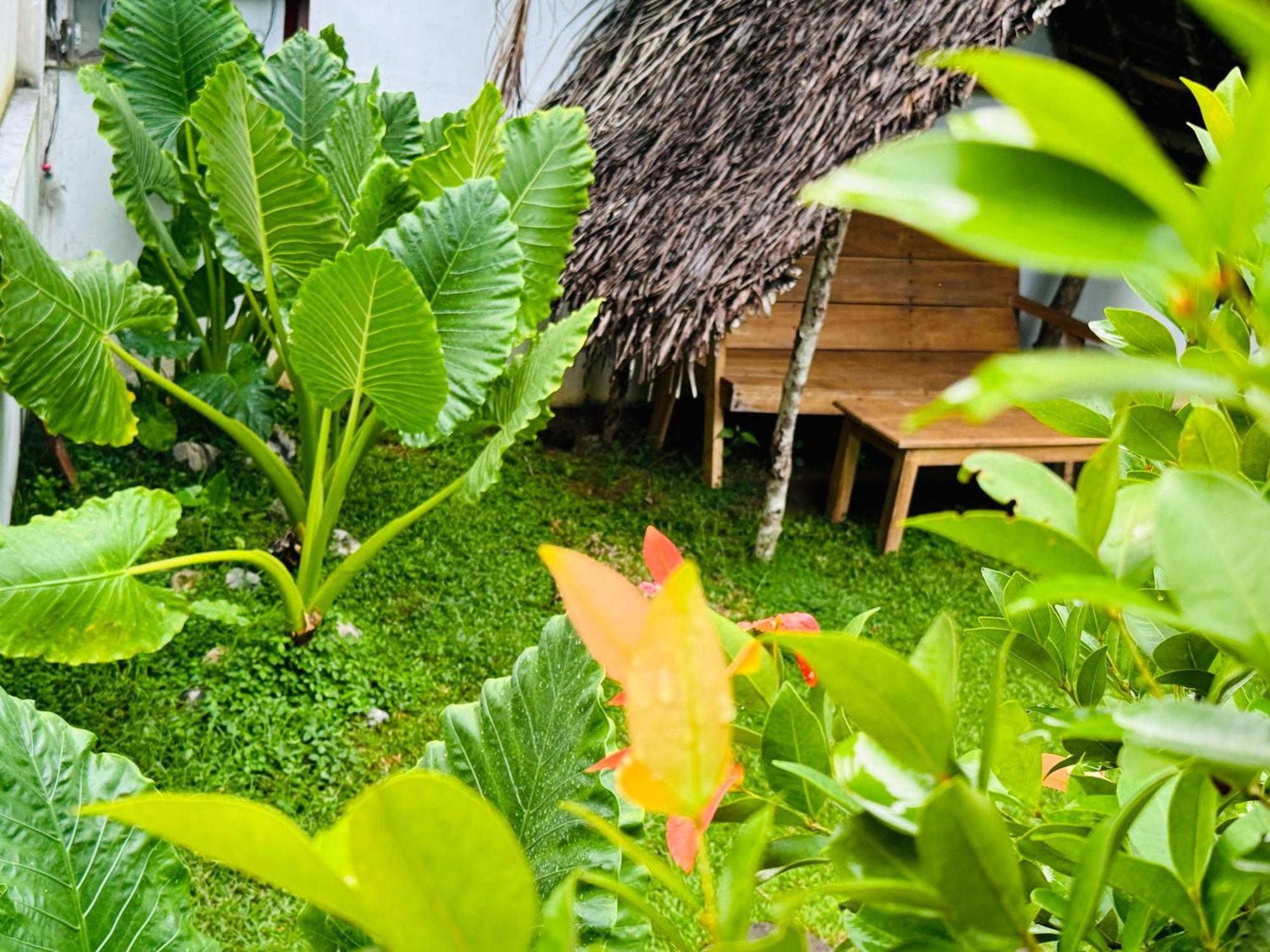 Turtle Wood Cabin Tangalle Luaran gambar