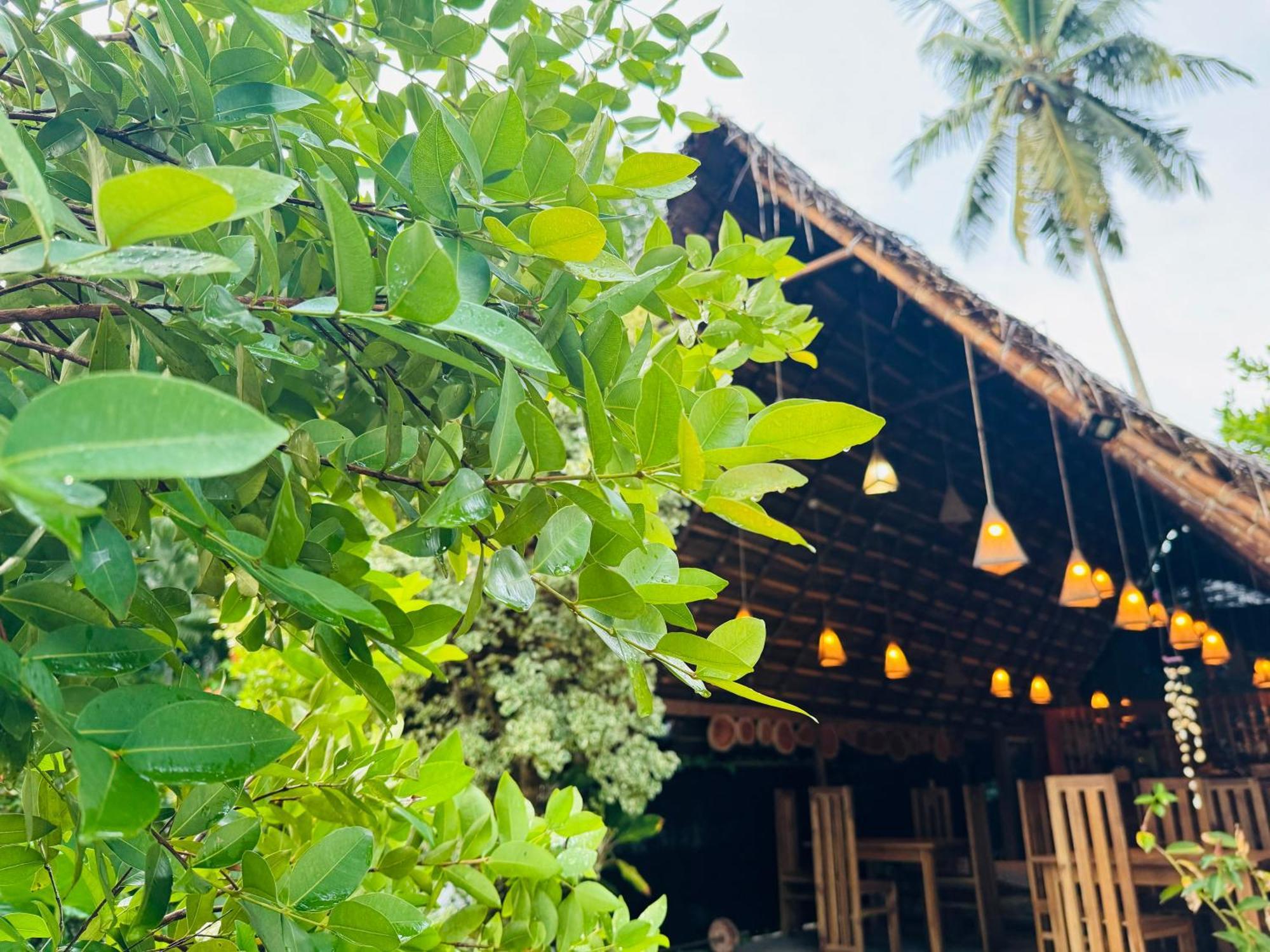 Turtle Wood Cabin Tangalle Luaran gambar